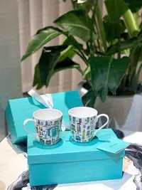 在飛比找Yahoo!奇摩拍賣優惠-【MOMO全球購】Tiffany & Co. 蒂芙尼 第五大