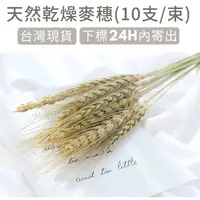 在飛比找松果購物優惠-【台灣現貨24H內寄】乾燥天然麥穗木質飾品拍照道具拍攝背景擺