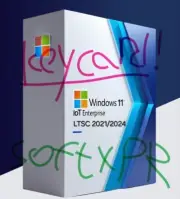 Windows 11 ✔IoT Enterprise ✔LTSC 2021 2024 ✔ 20 Instances/devices - FAST SHIP