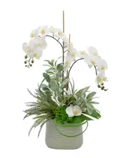 Creative Displays White Orchid, Lambs Ear & Fern Floral Arrangement