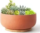 Terracotta Planter Pot for Succulent 8 Inch Pottery Pot round Planter Cactus Cla