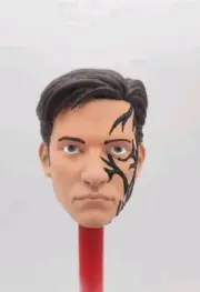 Hot Toys Custom Tobey Spiderman Symbiote Head 1/6 Scale Painted