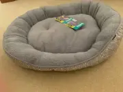 Pet One Ultra Plush Dog Cat bed OVAL 75Wx65Dx18.5cmH Grey
