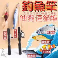 在飛比找蝦皮購物優惠-【在台現貨 當天寄出】釣桿逗貓棒 釣貓 伸縮逗貓棒 魚竿逗貓