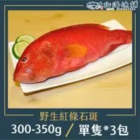 在飛比找ETMall東森購物網優惠-【北海漁鋪】野生紅條石斑300-350g /包*3包