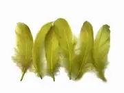 1/4 Lb - Olive Green Goose Nagoire Wholesale Feathers Bulk Costume Fly Tying