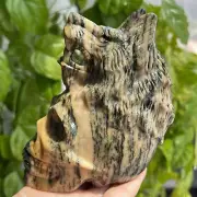 4.3" Natural Tiger print stone carved Wolf Skull Quartz Crystal skull gem 1x