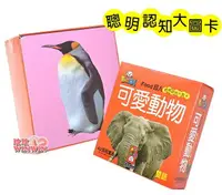 在飛比找樂天市場購物網優惠-風車圖書 FOOD超人可愛動物聰明認知大圖卡42張，識字圖卡