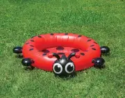Ladybug Kiddie Pool Swimming Pool