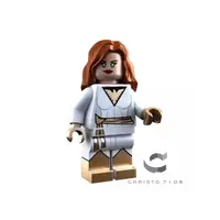 在飛比找蝦皮購物優惠-C家 樂高 lego Christo 第三方 white p