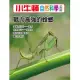 小牛頓自然科學小百科：戰力高強的螳螂 (電子書)