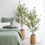 Artificial Tuscan Olive Tree [MUSHTUSTS23]