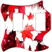 SG Standard Pickguard Gibson Graphical Guitar Scratch Plate Canada Patriot 1