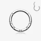 Implant Grade Titanium Multi-Gem Seamless Clicker Ring
