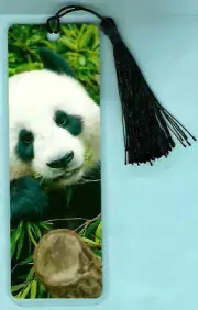 QUALITY Bookmark Panda Bear Animal Lover Gift x Girl Woman Kids Man