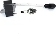 Ignition Module With Spark Plug BM6A For Husqvarna 125B 125BVX 125BX Jonsered B2126 BV2126 Redmax HB280 HB281 Craftsman 358794810 358794811 Leaf Blower PN 545108101 Champion RCJ6Y