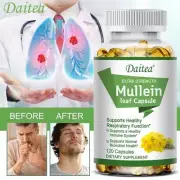 Mullein - Lung Cleansing & Detox,Healthy Respiratory Function- 120 Capsules
