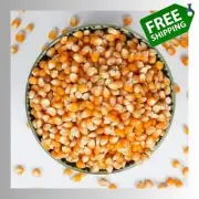 Dried Corn Popcorn seeds Pure Natural 100% Organic Maize Kernels Ceylon New