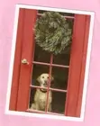 Labrador Retriever Lab at the Red Door Christmas Cards from Palm Press Box of 10