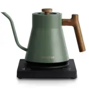 POLIVIAR Electric Gooseneck Kettle, 1200W Electric Tea Kettle Real Wood Handl...