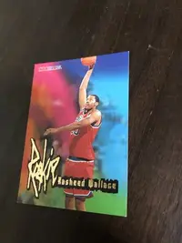 在飛比找Yahoo!奇摩拍賣優惠-RASHEED WALLACE  95-96 HOOPS 新