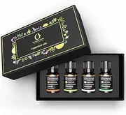 Organic Forest Pack of 4 Essential Oil Set | Citronella, Clove, Oregano and Camphor Essential Oil Gift Set | Essential Oils for Diffusers for Home | Massage Oil | Aromatherapy Diffuser Oil Gift Set