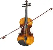 FLEXMAN 4/4 Full Size Violin Set, Handmade Infarctate Wood Retro Color Violin with Violin Bow Rosin Shoulder Rest Tuner for Beginners Adults