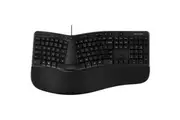 Incase Designed by Microsoft Ergonomic Keyboard