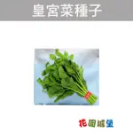 現貨-落葵( 皇宮菜 )~CEYLON SPINACH 種子 葉菜【花園城堡】