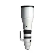 Sigma 300-600mm F4 DG OS Sports - Sony E