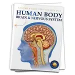 HUMAN BODY: BRAIN AND NERVOUS SYSTEM