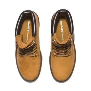 Timberland 女款小麥色磨砂革防水6吋靴|A5N9S231