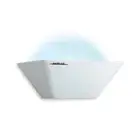 SectaRid SR20 Luralite Indoor Bug GlueBoard Catcher. For Cafe-Office-Food areas