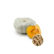 Pumpkin Jarrahdale - Seed Packet - Organic Seeds - Spring - Summer