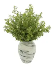 Creative Displays Green Tea Leaves Plant