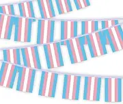 30 PCS Transgender Flag Bunting,33 FT Pride Rainbow LGBTQ National String Decoration, Decor Banner for Outdoor Indoor Patio Yard Classroom Club