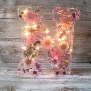 Pressed Flower Resin Letters With Led Light ,floral Resin Night Light 26 Letter Selection,50% Offer N