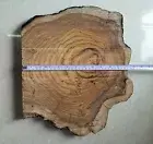 live edge slice of indien teak wood burl wood with high grains for casting craft
