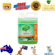 Pine O Cleen Disinfectant Multipurpose Liquid Eucalyptus Kill Germs Bacteria 5L
