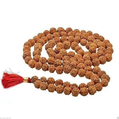 Rudraksha Rosary /6 Mukhi six Faced 5-7 mm/ Improves will power Mala 108+1 Beads