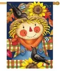 Scarecrow in Plaid House Flag