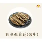 【亞源泉】野生赤靈芝100G (切片)