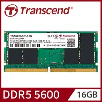 在飛比找PChome24h購物優惠-Transcend 創見 TSRam DDR5 5600 1