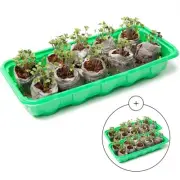 Mini Greenhouse Seed Starter Kit Reusable Seedling Trays - Indoor Germination