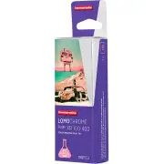 Lomography 110 ISO 100-400 - LomoChrome Purple