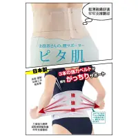 在飛比找蝦皮購物優惠-開發票 日本製 Alphax醫生系列 三重透氣護腰帶 束腹護