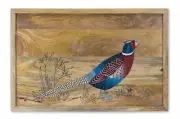 Pheasant Wall Hanging 32"L x 21"H - Mango Wood - Hand Painted