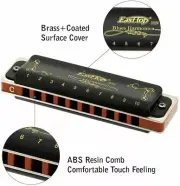 EASTTOP10Hole Diatonic Blues Harmonica 12tones Black Professional Harmonica Free