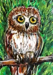 ORIGINAL ACEO Bird PAINTING Northern SAW WHET OWL Nature Spring Tree ATC ART