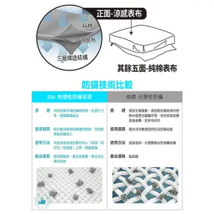 3M 全面抗螨涼感系列-防蹣床包-雙人